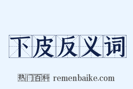 下皮反义词是什么意思的图片